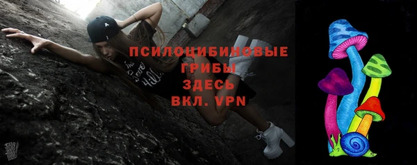 синтетический гашиш Медногорск
