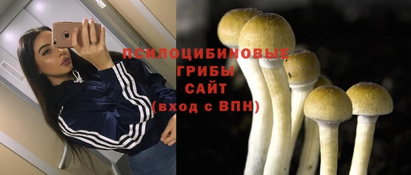 стаф Медвежьегорск
