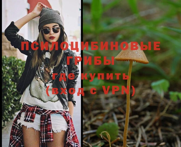 синтетический гашиш Медногорск