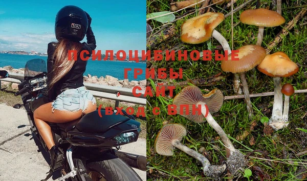 синтетический гашиш Медногорск