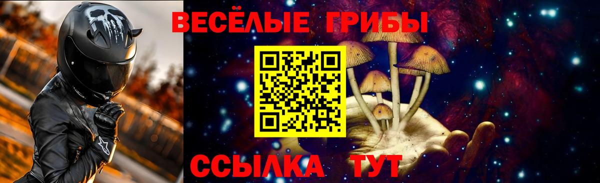Галлюциногенные грибы Psilocybine cubensis Донецк